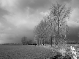 20220225-Loenen-1032