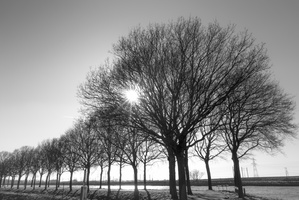 20220308-Loenen-111