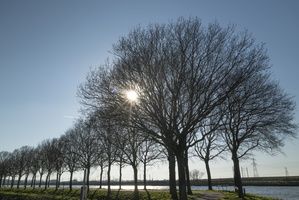 20220308-Loenen-112