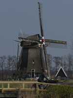 20220322-Voorjaar-101