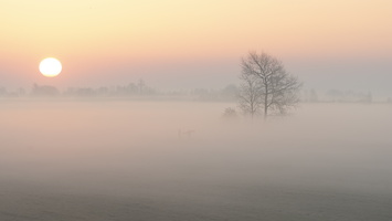 20220324-Zonsopkomst-110