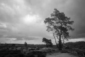 20220409-HeftigWeer-153