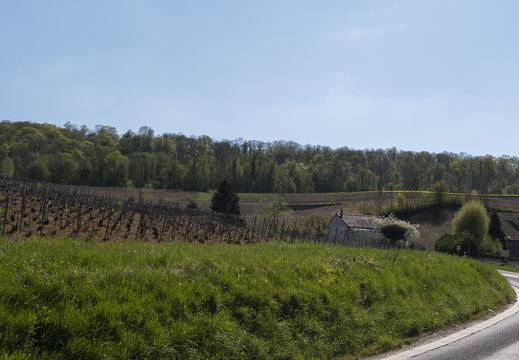 20220415-Champagne-212