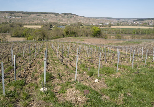 20220415-Champagne-213