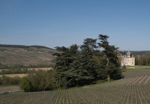 20220415-Champagne-215