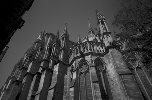 220415-M4-21mm-Delta100-Champagne-163