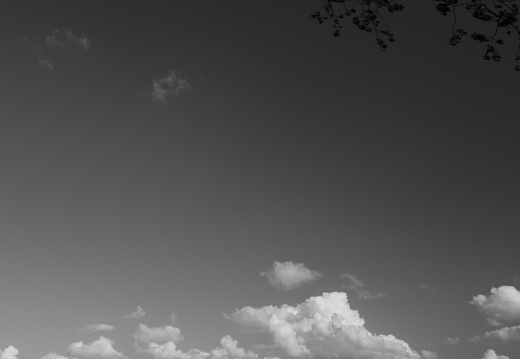 20220423-Motortoertocht-110