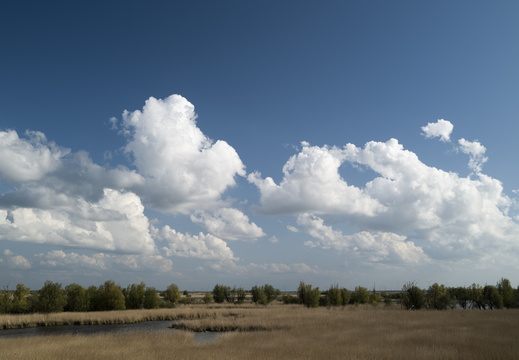 20220423-Motortoertocht-114