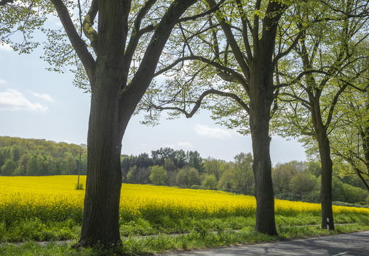 2022046-Motortoertocht-Twente-123