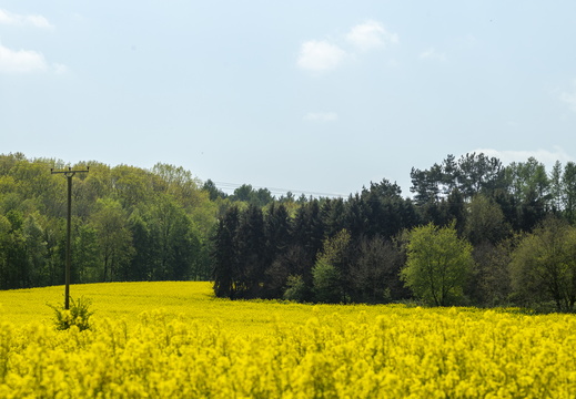 2022046-Motortoertocht-Twente-124