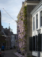 20220510-Lente-119