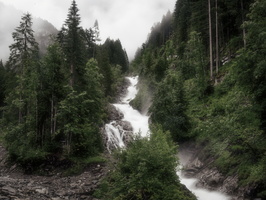 20220607-Simmental-106