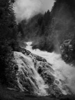 20220607-Simmental-108