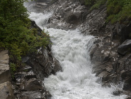 20220607-Simmental-113