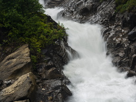20220607-Simmental-115