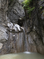 20220607-Simmental-120