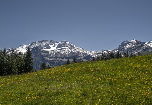 20220611-Betelberg-104