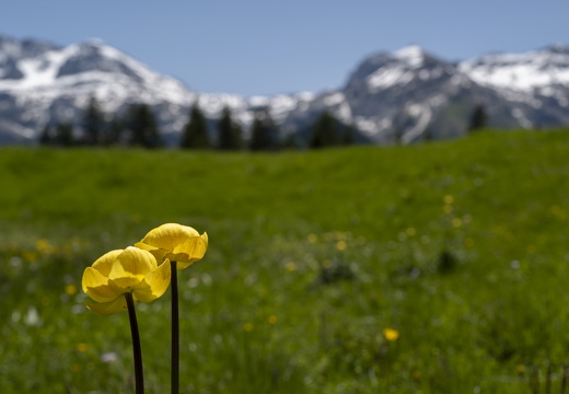 20220611-Betelberg-109
