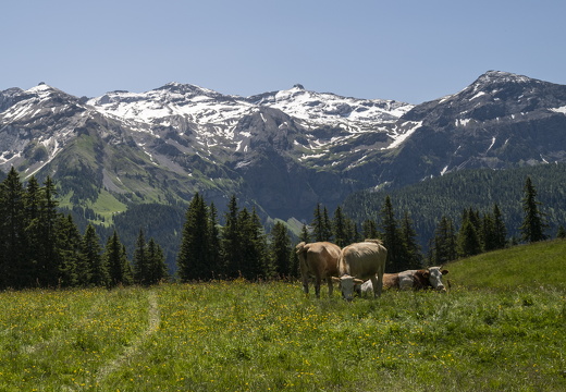 20220611-Betelberg-111
