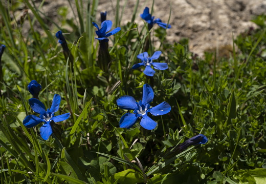 20220611-Betelberg-135