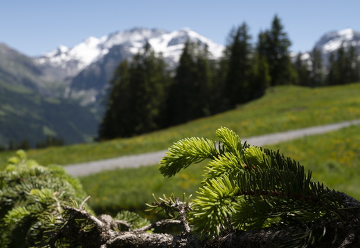 20220611-Betelberg-139