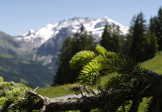 20220611-Betelberg-142