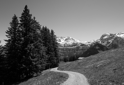 20220611-Betelberg-152