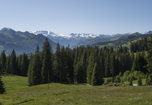 20220611-Jaunpas-101