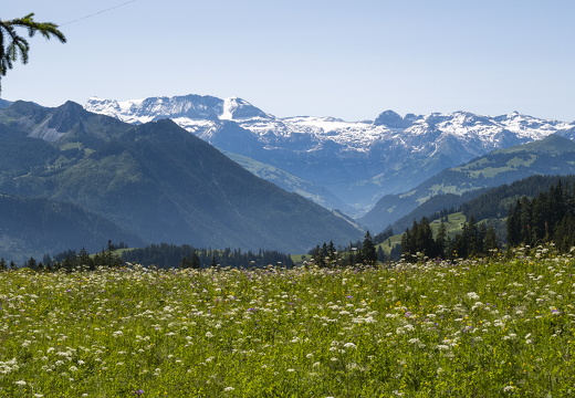 20220611-Jaunpas-103