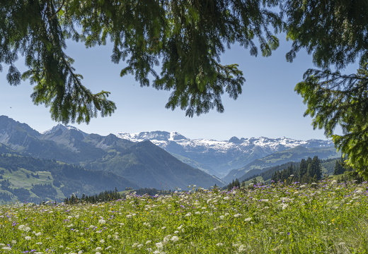 20220611-Jaunpas-109