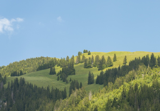20220612-Zweisimmen-108