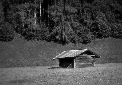 20220612-Zweisimmen-121-bewerkt