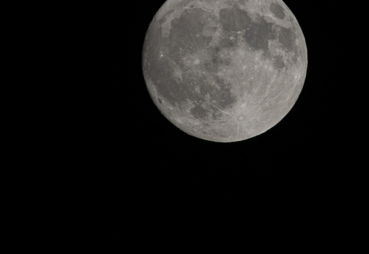 20220613-Maan-101-2
