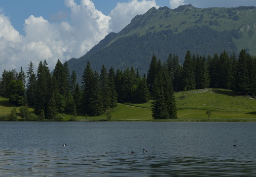 20220616-Lauenensee-119