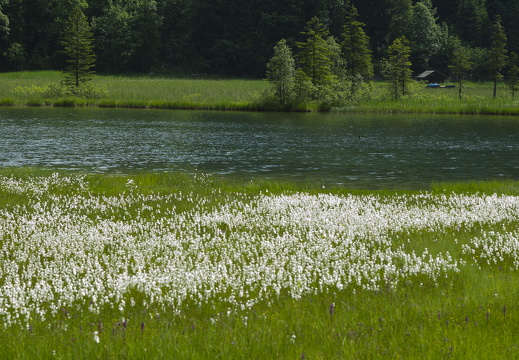 20220616-Lauenensee-126