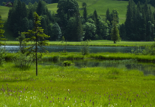 20220616-Lauenensee-129