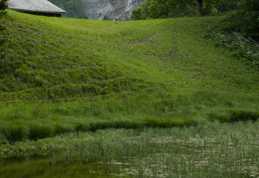 20220616-Lauenensee-139
