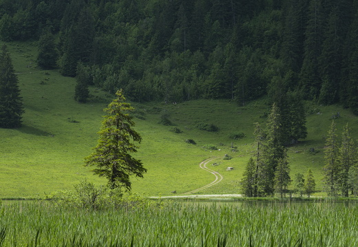 20220616-Lauenensee-170