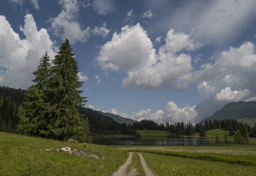 20220616-Lauenensee-173