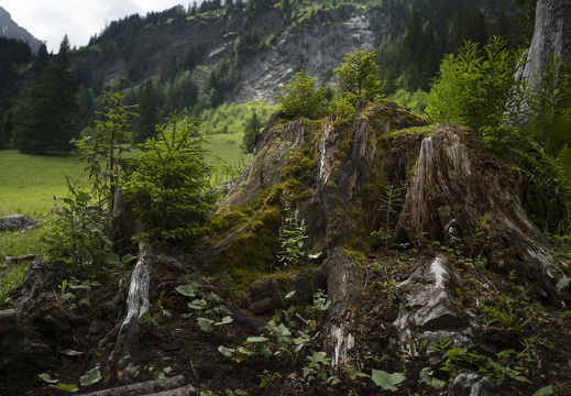 20220616-Lauenensee-190