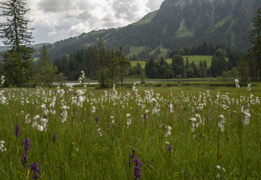 20220616-Lauenensee-197