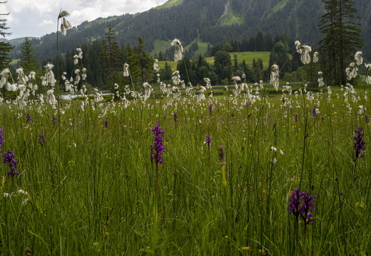 20220616-Lauenensee-200