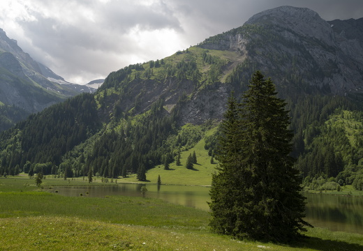 20220616-Lauenensee-239
