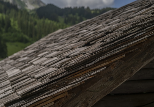 20220616-Lauenensee-265