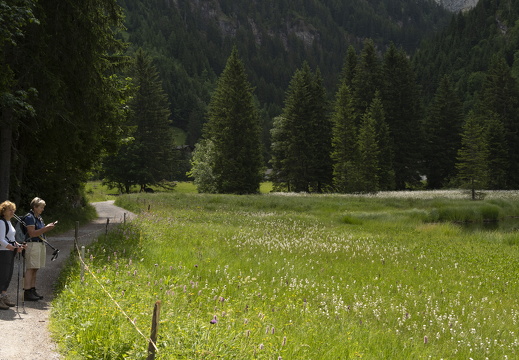 20220616-Lauenensee-266