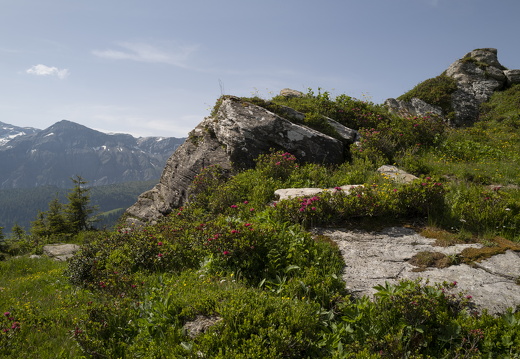 20220617-Leiterli-108