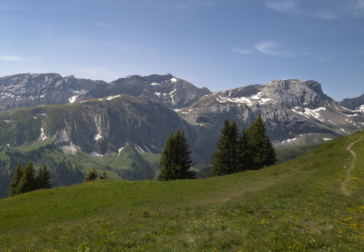20220617-Leiterli-130