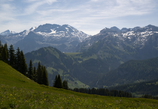 20220617-Leiterli-131
