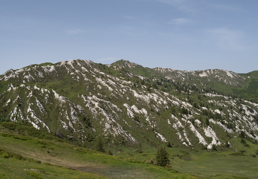 20220617-Leiterli-147