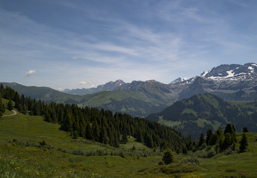 20220617-Leiterli-174-2